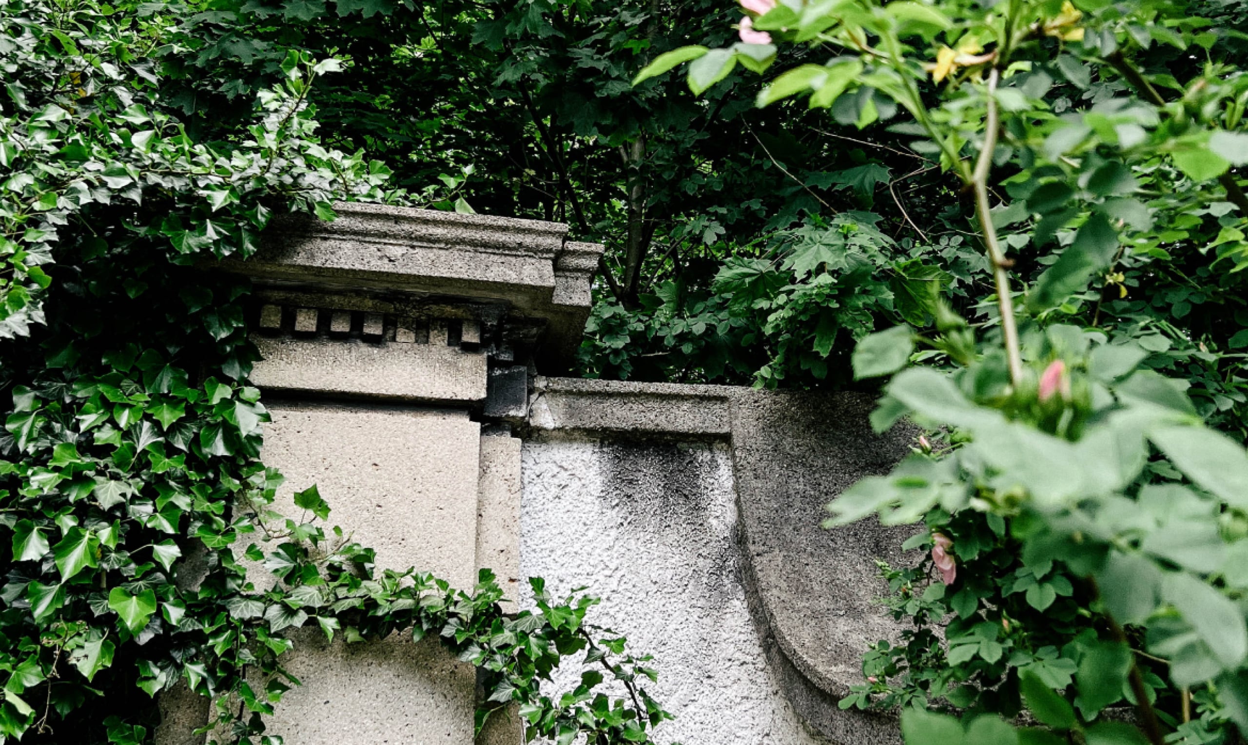 #hiddenplaces Tucherpark: Biotope